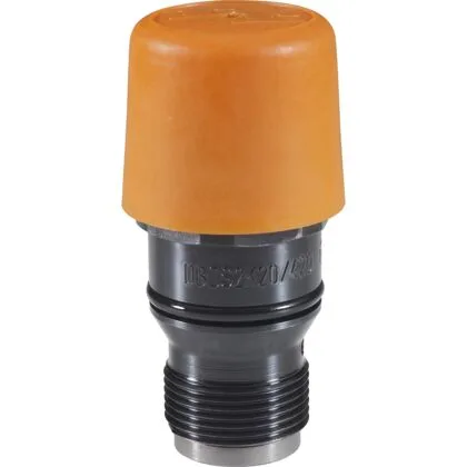 Клапан ограничения давления Bosch Rexroth R900205697 (DBDL2K2X/50)